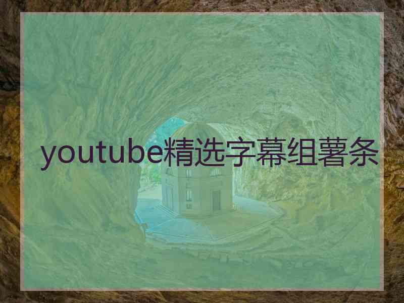 youtube精选字幕组薯条