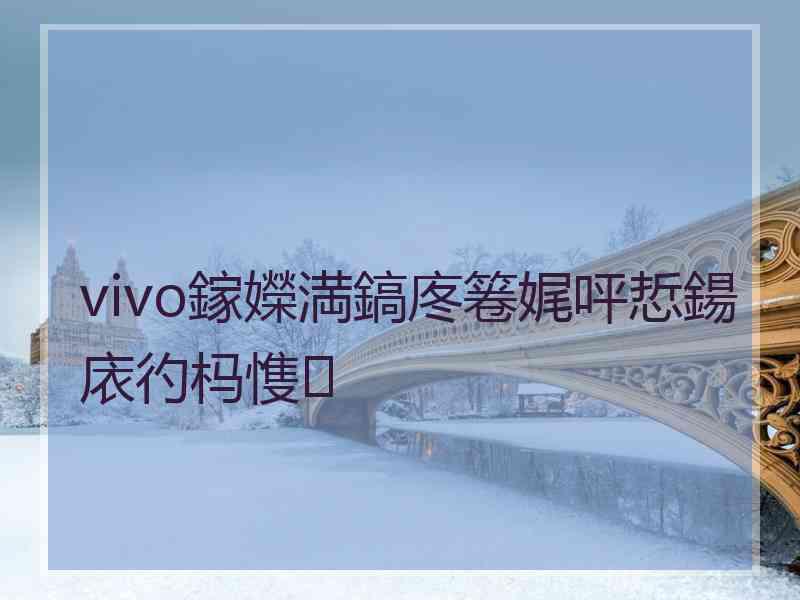 vivo鎵嬫満鎬庝箞娓呯悊鍚庡彴杩愯