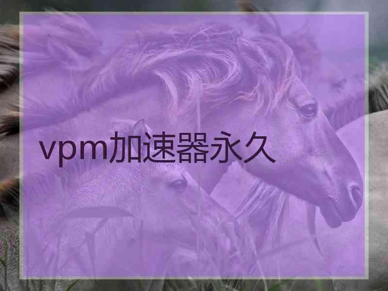 vpm加速器永久