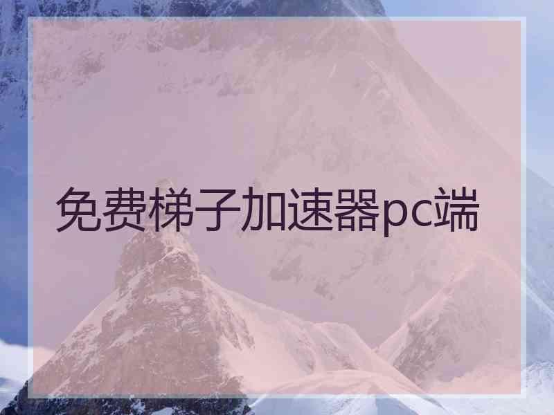 免费梯子加速器pc端