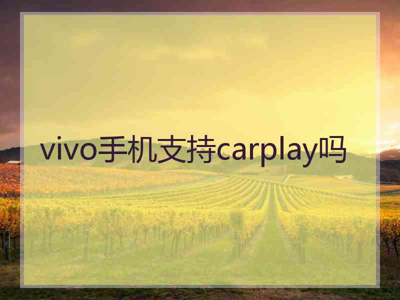 vivo手机支持carplay吗