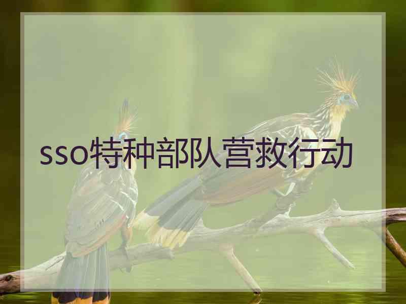 sso特种部队营救行动