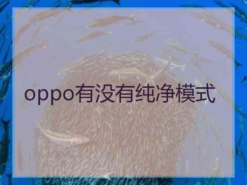 oppo有没有纯净模式