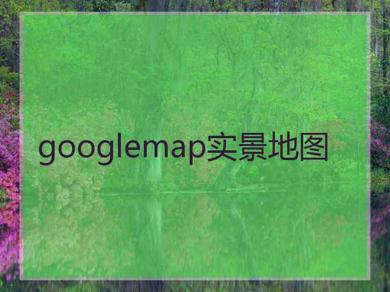 googlemap实景地图