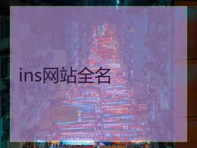 ins网站全名