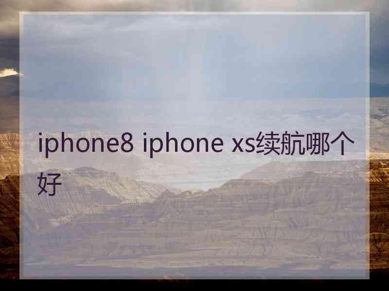 iphone8 iphone xs续航哪个好