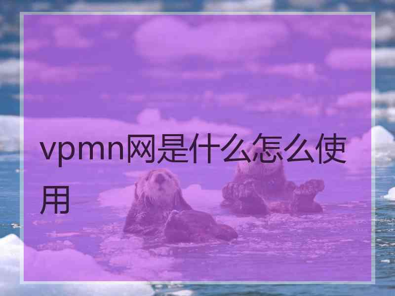 vpmn网是什么怎么使用