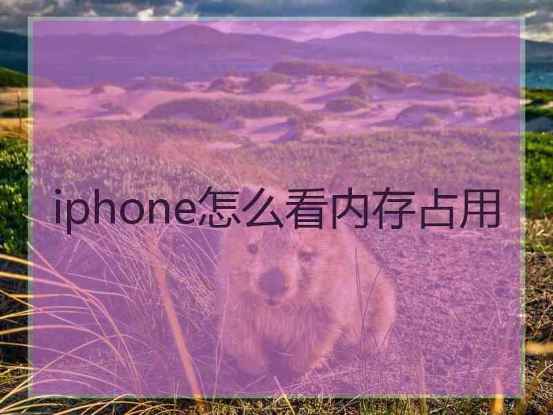 iphone怎么看内存占用