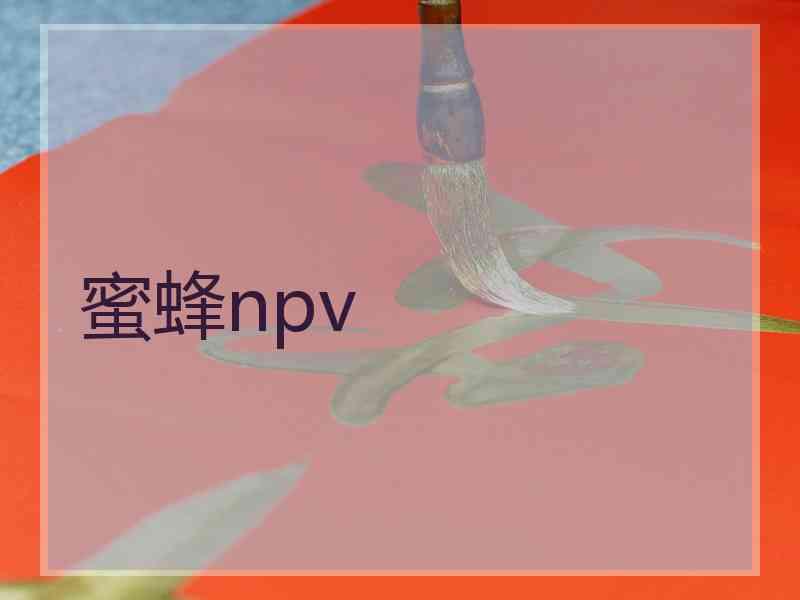 蜜蜂npv