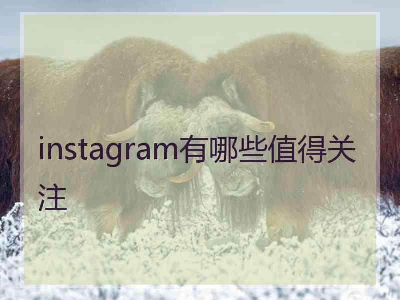 instagram有哪些值得关注