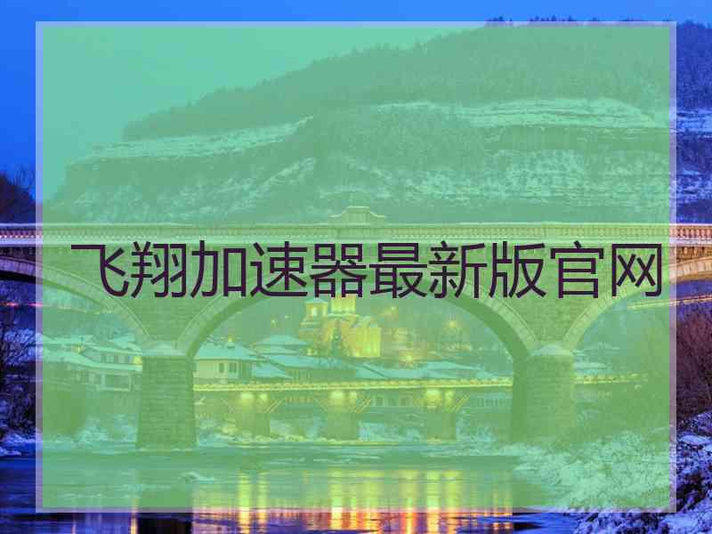 飞翔加速器最新版官网