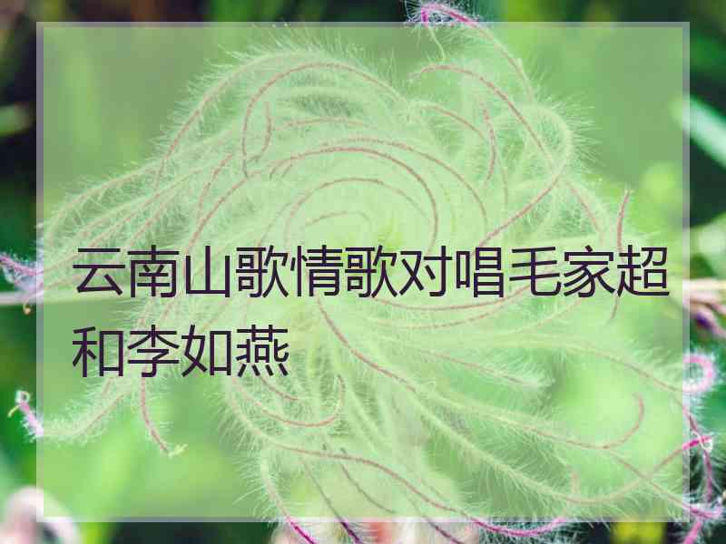 云南山歌情歌对唱毛家超和李如燕