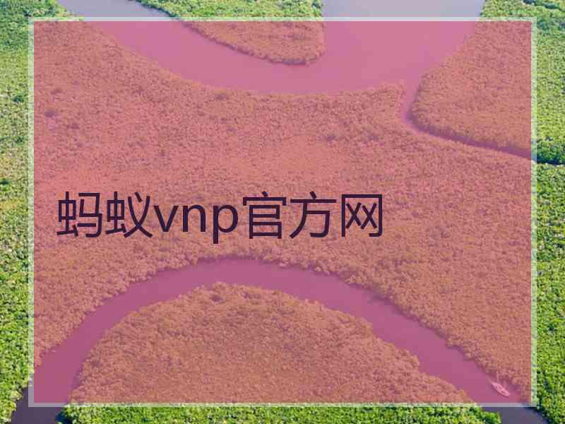 蚂蚁vnp官方网