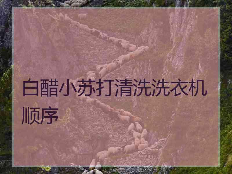 白醋小苏打清洗洗衣机顺序