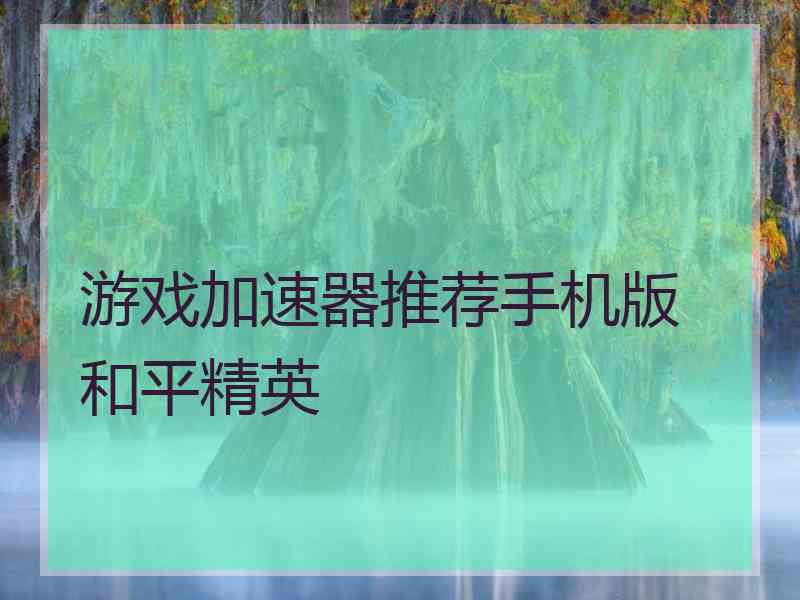 游戏加速器推荐手机版 和平精英