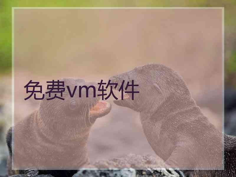 免费vm软件