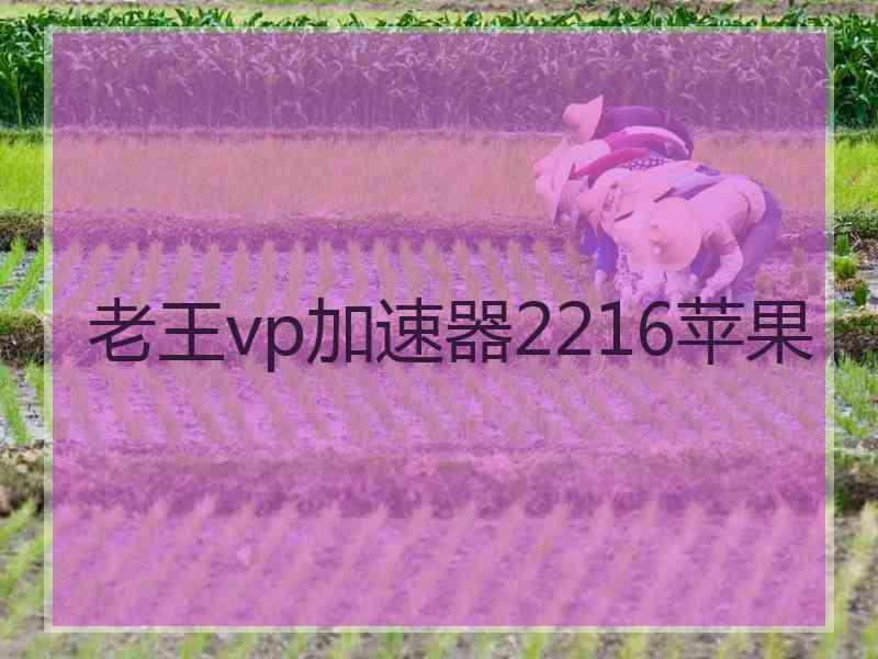 老王vp加速器2216苹果