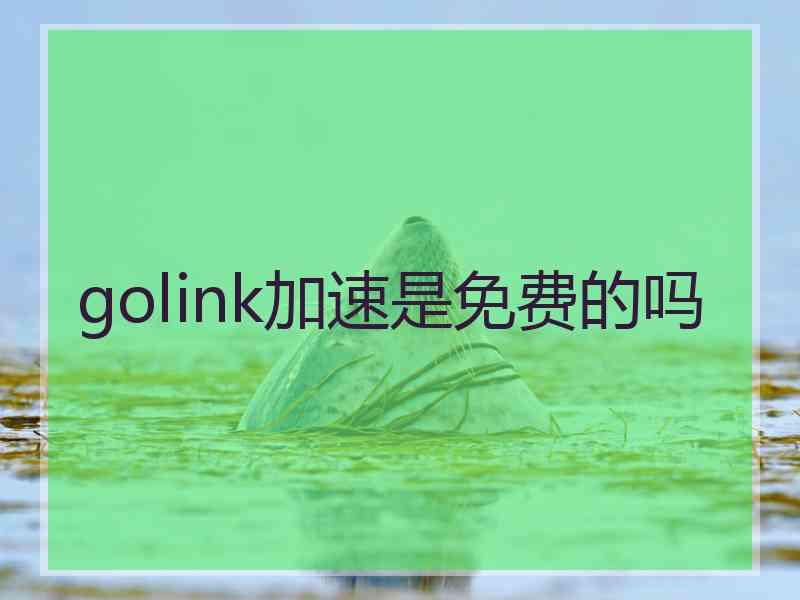 golink加速是免费的吗