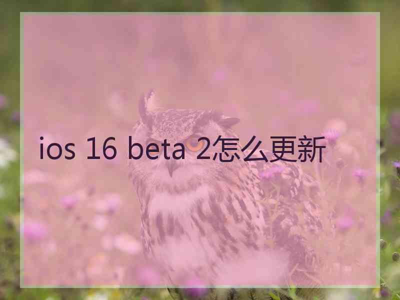 ios 16 beta 2怎么更新