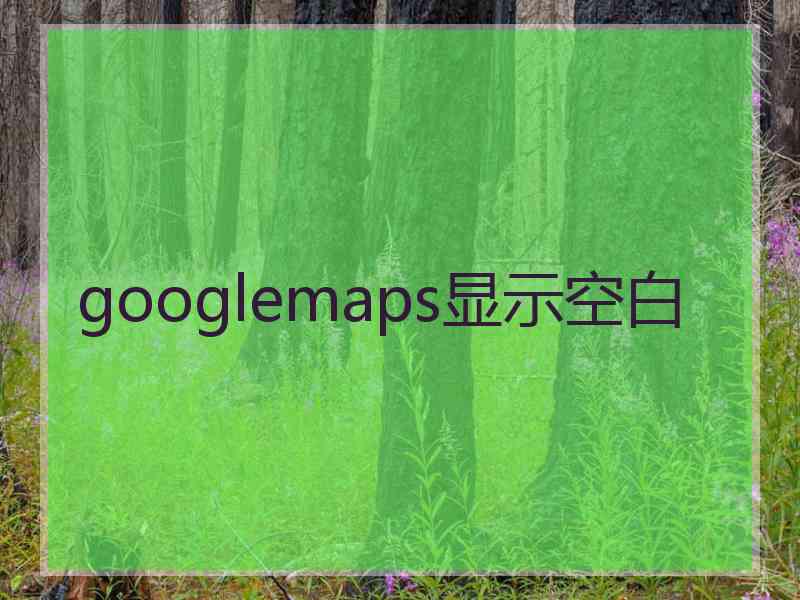 googlemaps显示空白