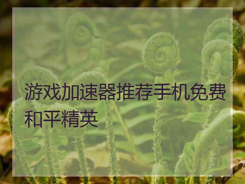 游戏加速器推荐手机免费和平精英