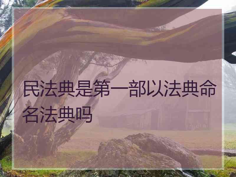 民法典是第一部以法典命名法典吗