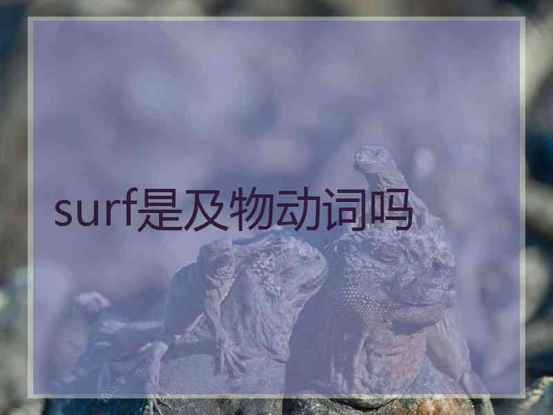 surf是及物动词吗