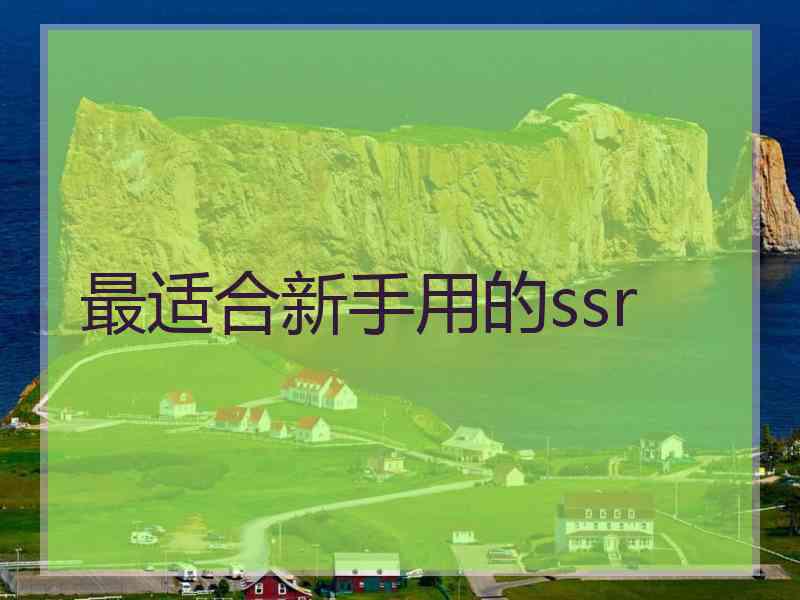 最适合新手用的ssr