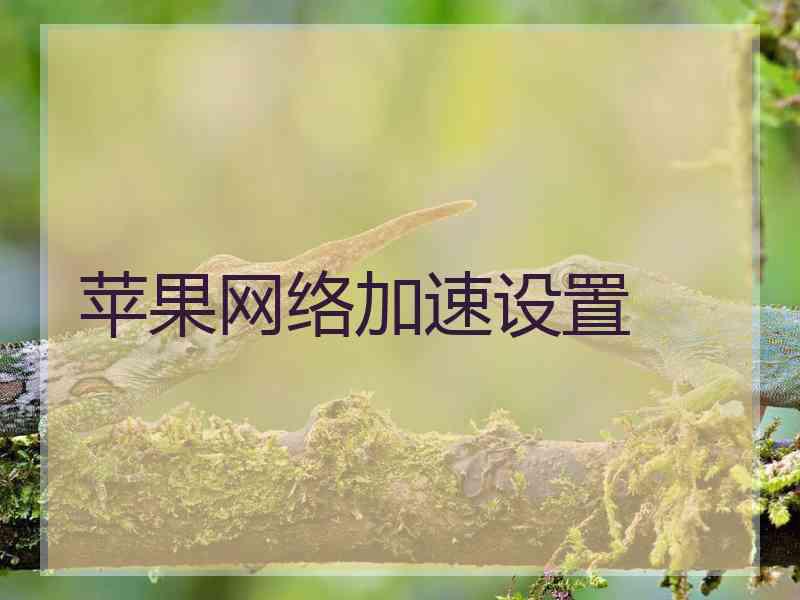 苹果网络加速设置