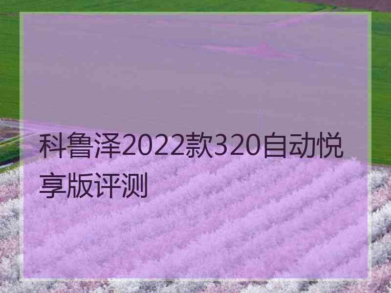 科鲁泽2022款320自动悦享版评测