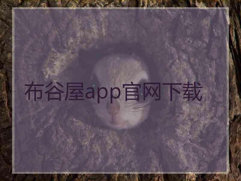 布谷屋app官网下载