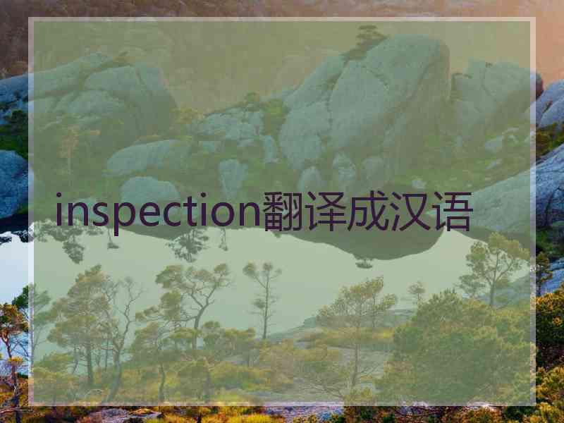 inspection翻译成汉语