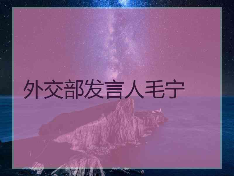 外交部发言人毛宁