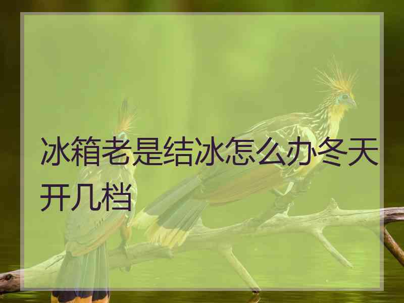 冰箱老是结冰怎么办冬天开几档