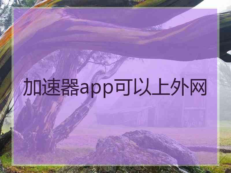 加速器app可以上外网