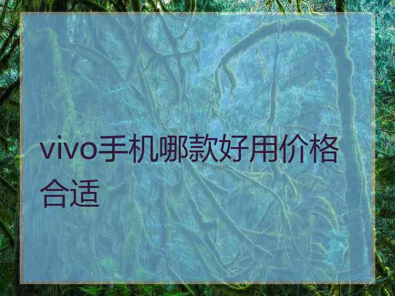 vivo手机哪款好用价格合适