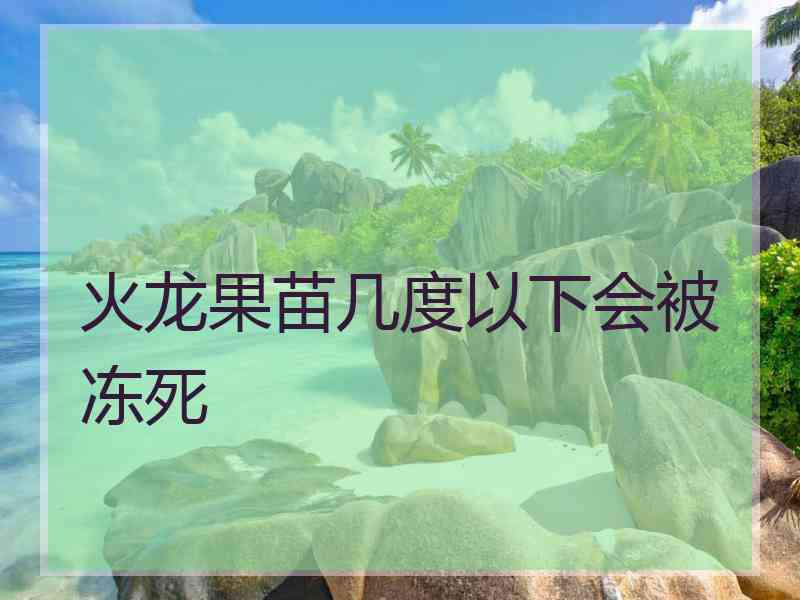 火龙果苗几度以下会被冻死