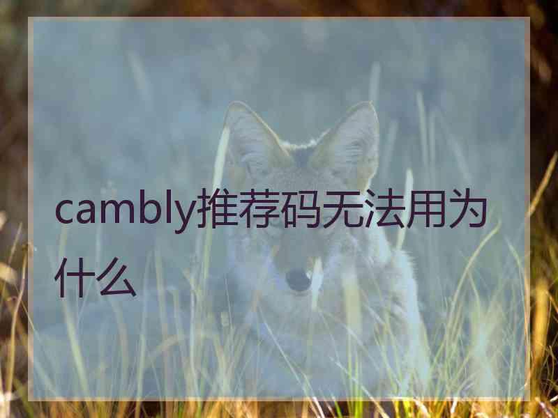 cambly推荐码无法用为什么