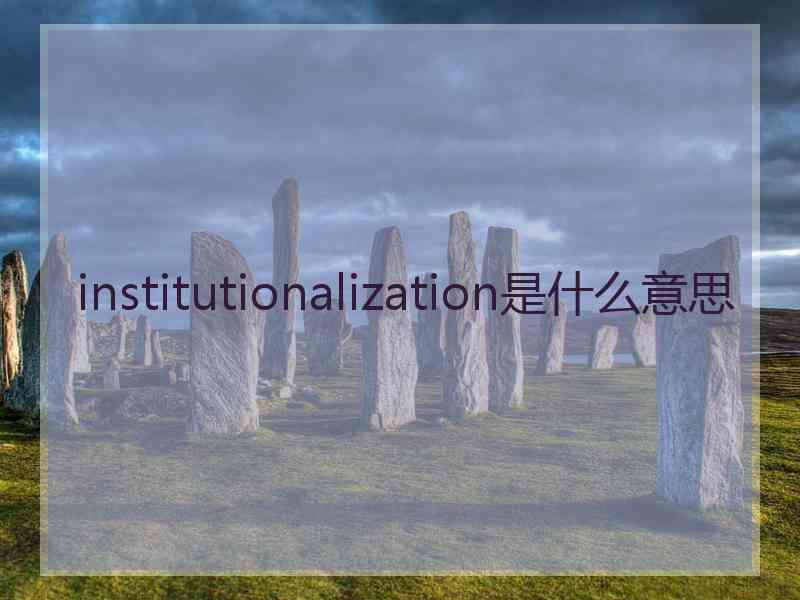 institutionalization是什么意思