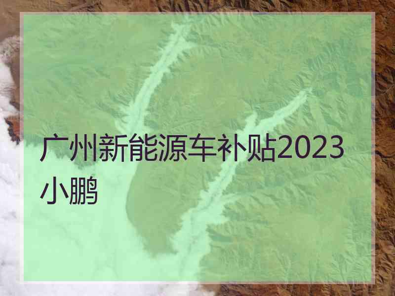 广州新能源车补贴2023 小鹏