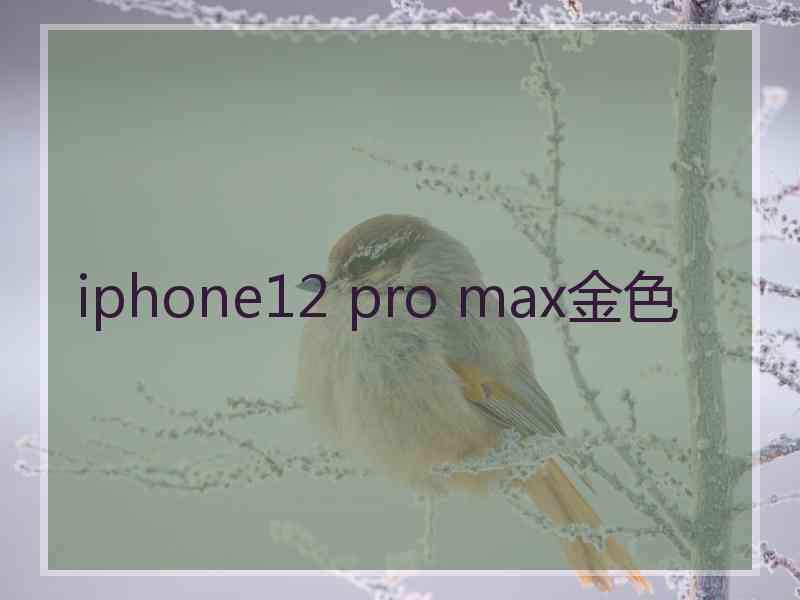 iphone12 pro max金色