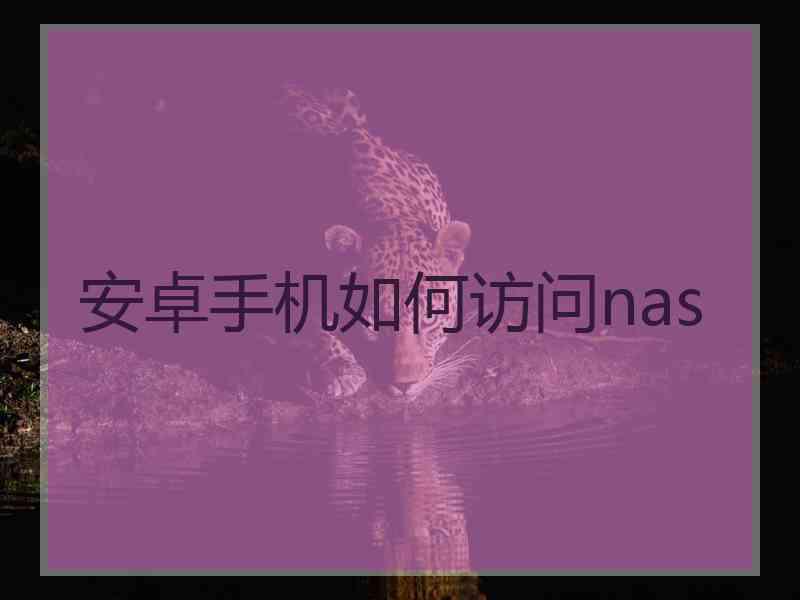 安卓手机如何访问nas