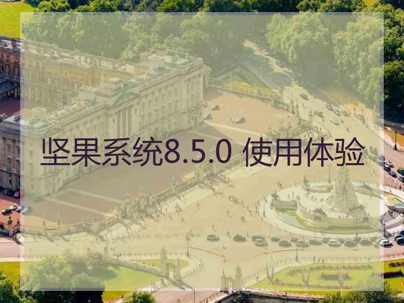 坚果系统8.5.0 使用体验