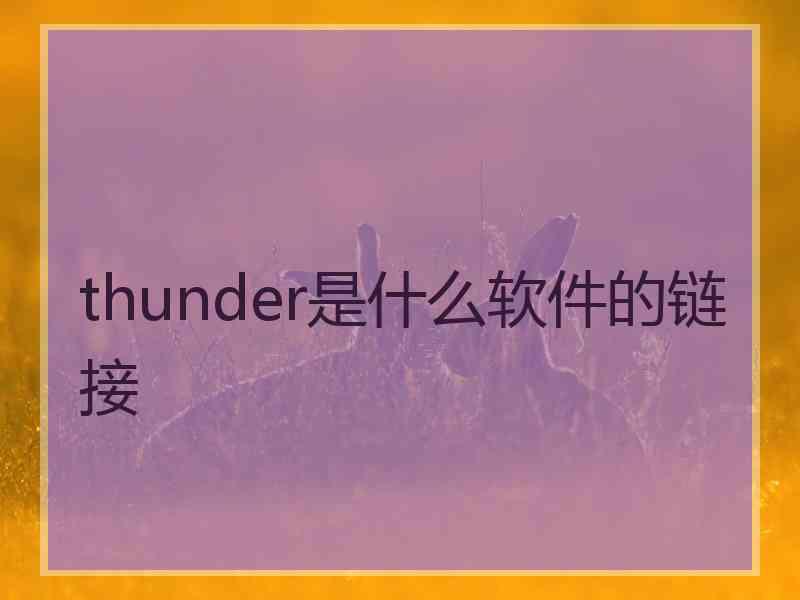 thunder是什么软件的链接