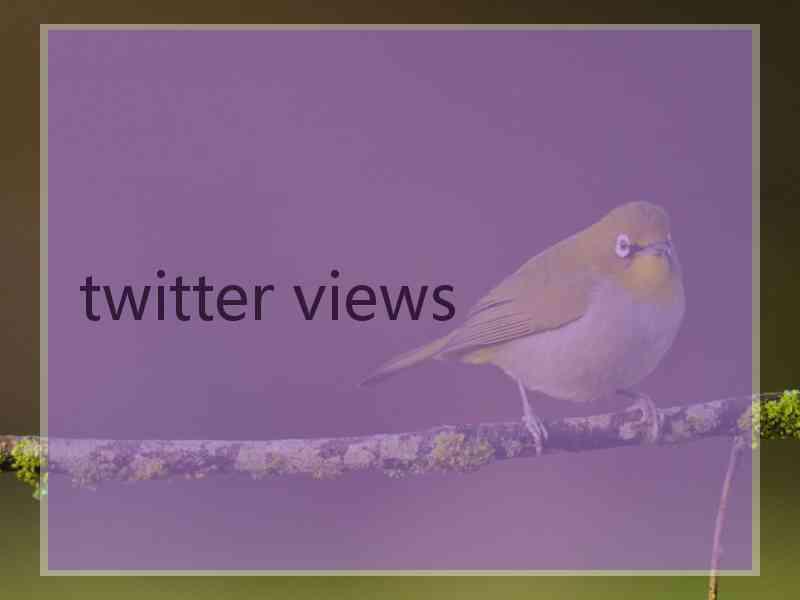 twitter views