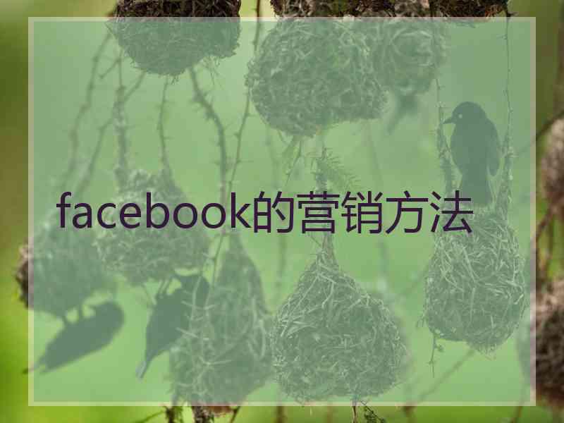 facebook的营销方法