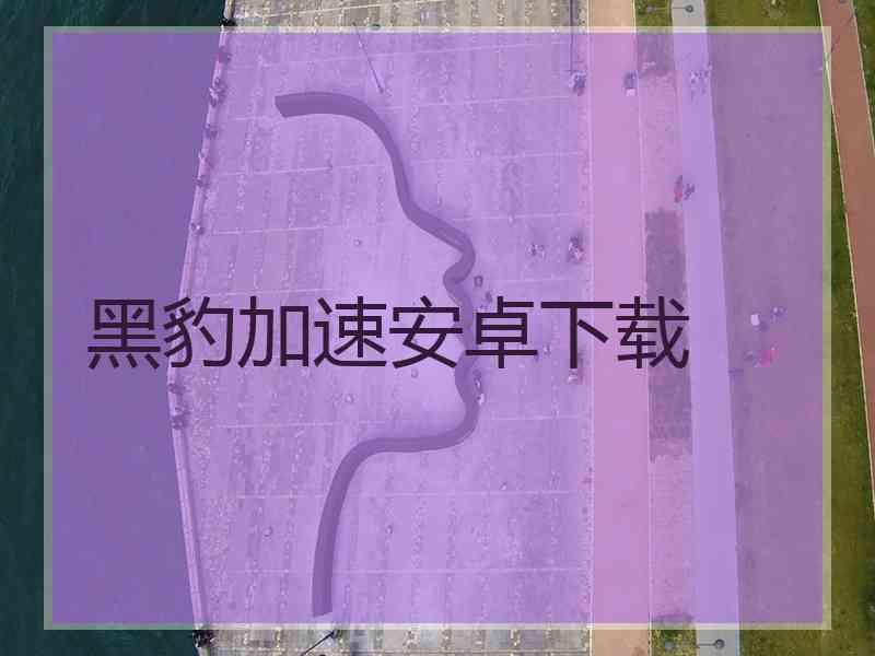 黑豹加速安卓下载