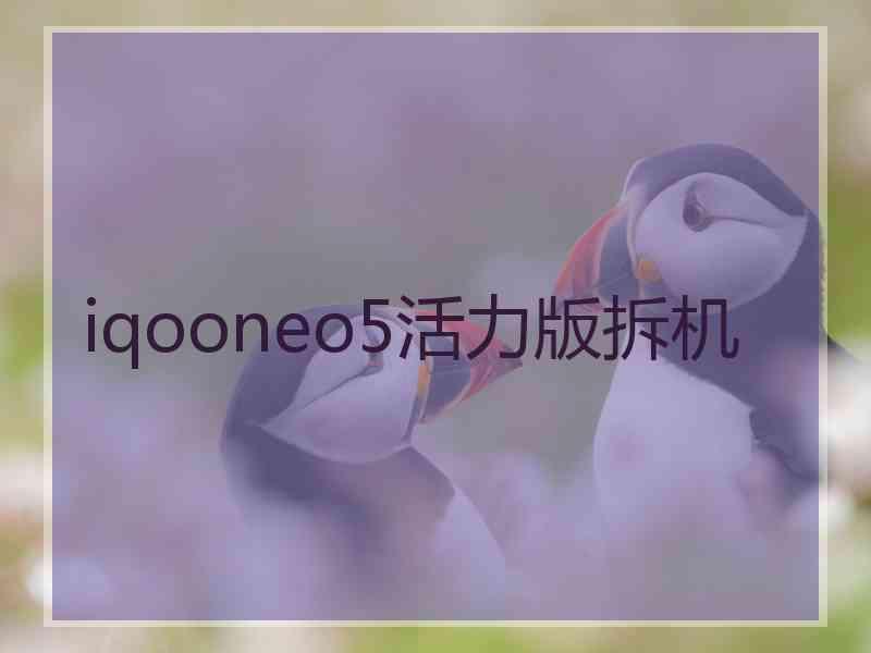 iqooneo5活力版拆机