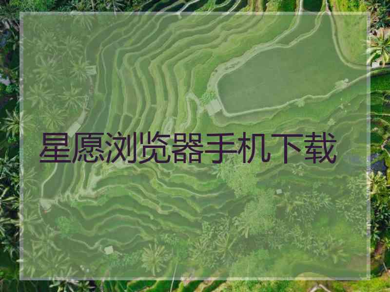 星愿浏览器手机下载