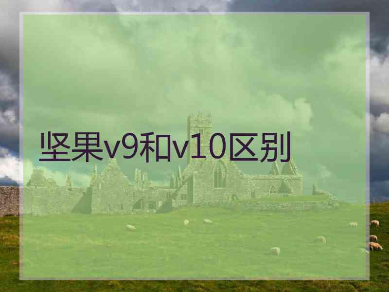 坚果v9和v10区别